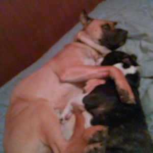 Meet your Posher, Tina